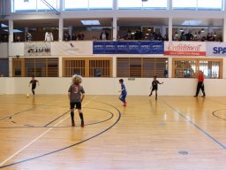 mini-IMG_7231